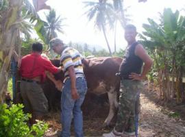 PENGIRIMAN BELASAN HEWAN KURBAN