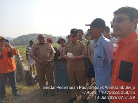 GERDAL PERSEMAIAN PADI KELOMPOK TANI SIDO MAJU UMBULREJO